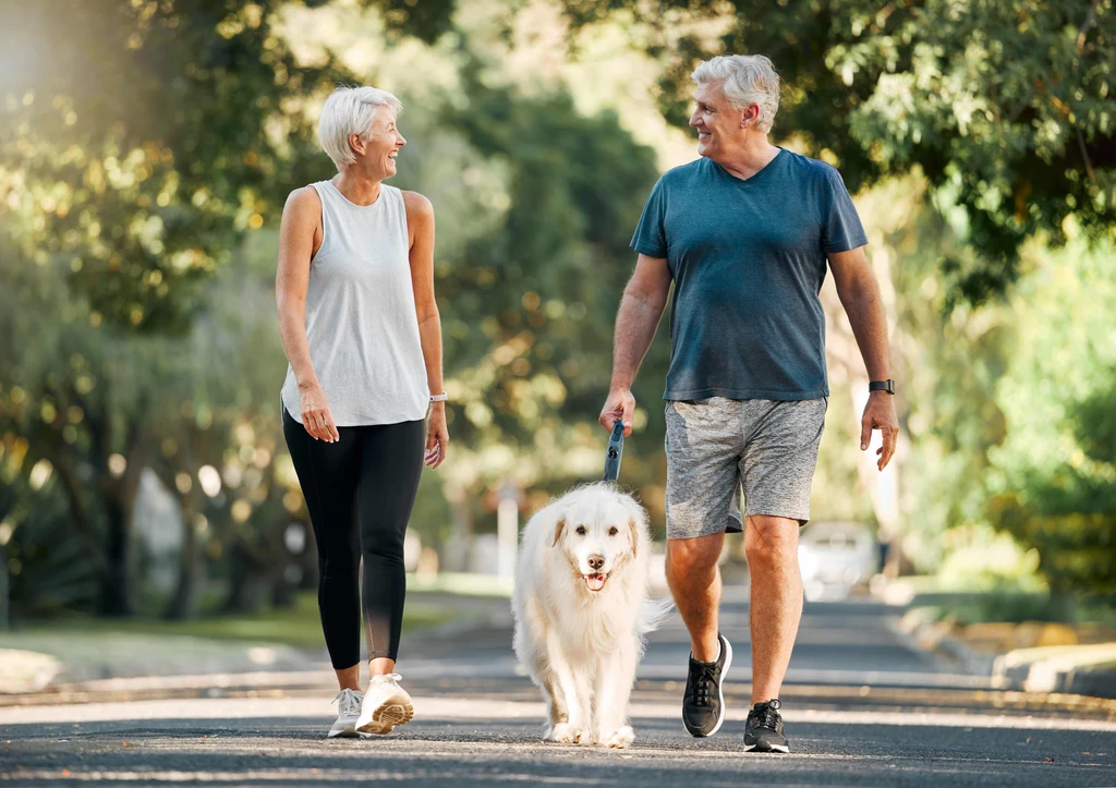 couple senior se promenant joyeusement avec leur chien, illustrant l'activité physique bénéfique pour la santé et les rencontres amicales lors de promenades en plein air